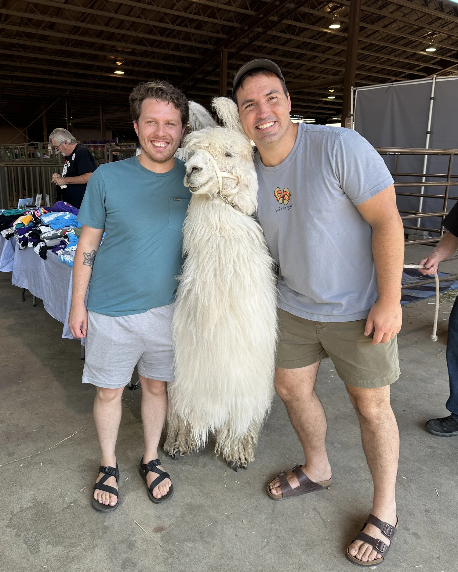 David and Sean with Caesar the No Drama Llama